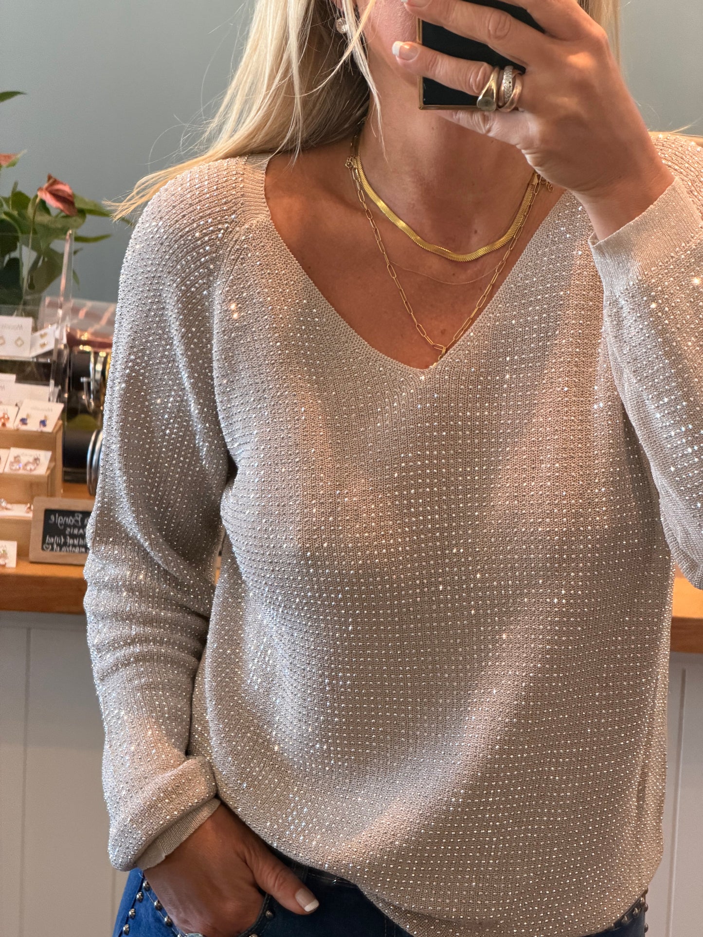 Twinkle Long Sleeve- silver